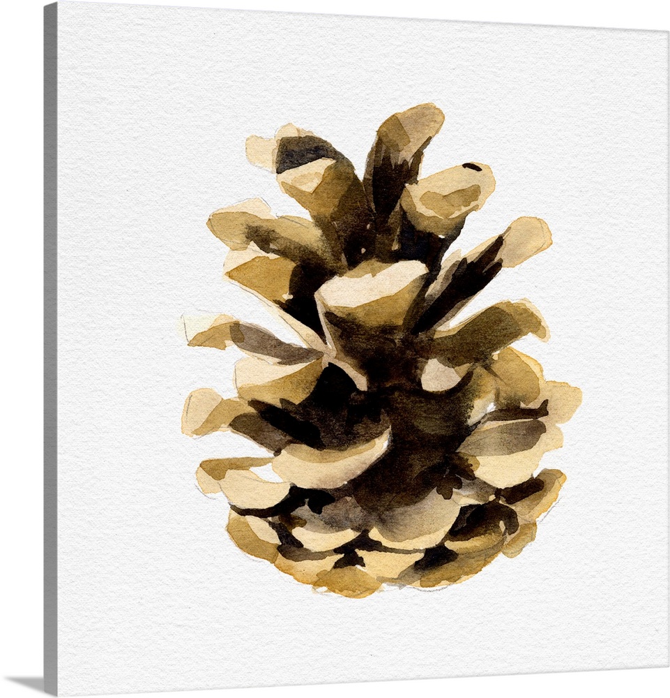 Conifer Cone II