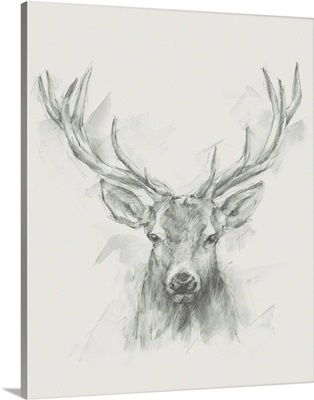 Contemporary Elk Sketch I