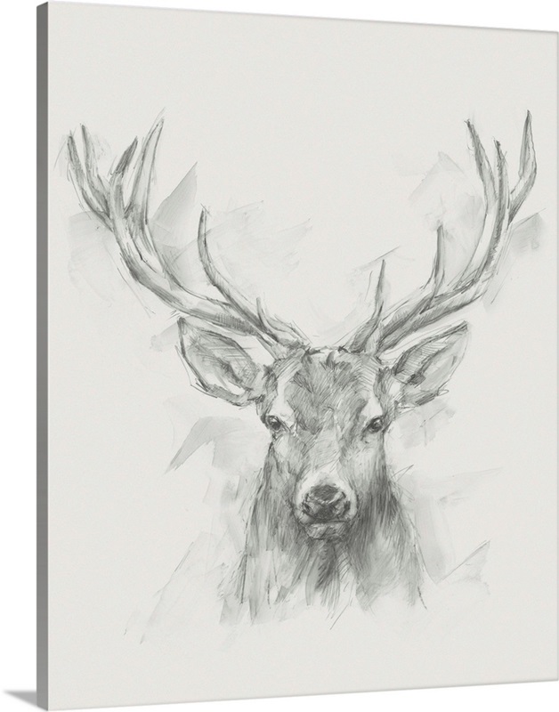 Contemporary Elk Sketch I | Great Big Canvas