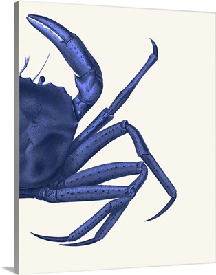 Contrasting Crab in Navy Blue B