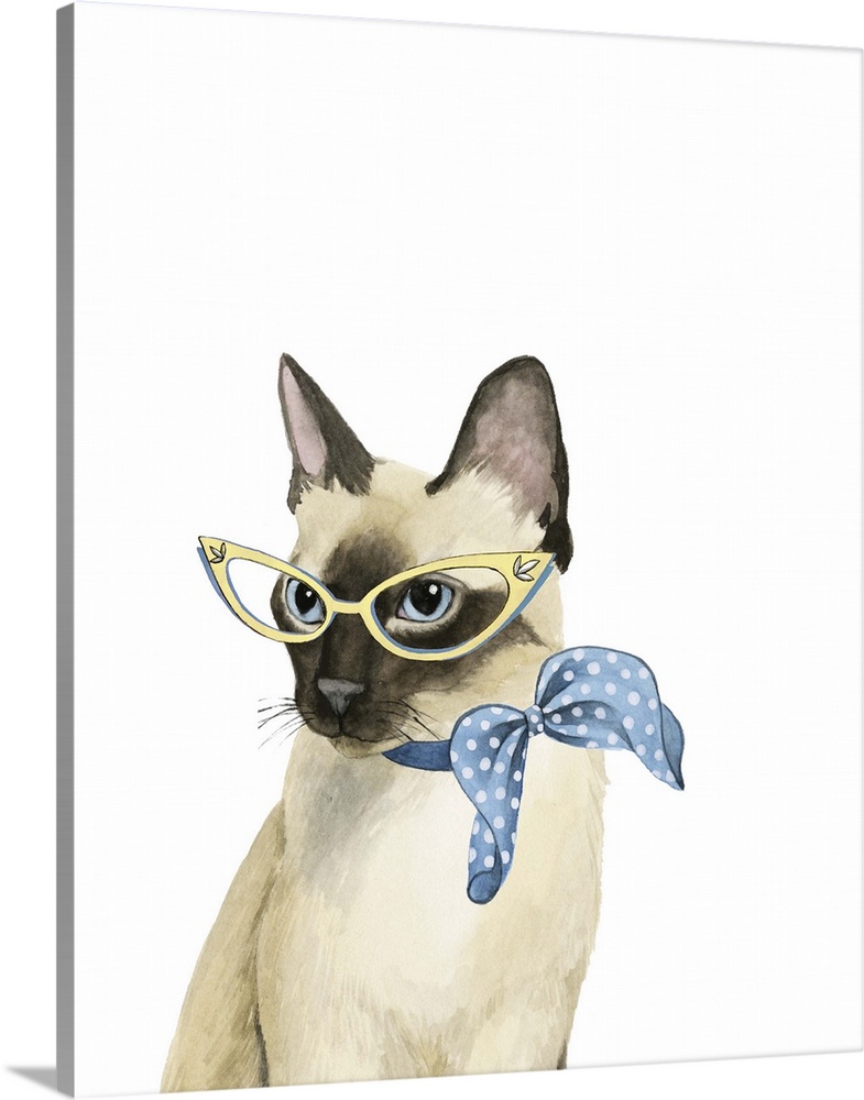 Humorous illustration of a Siamese cat wearing a scarf and librarian glasses.