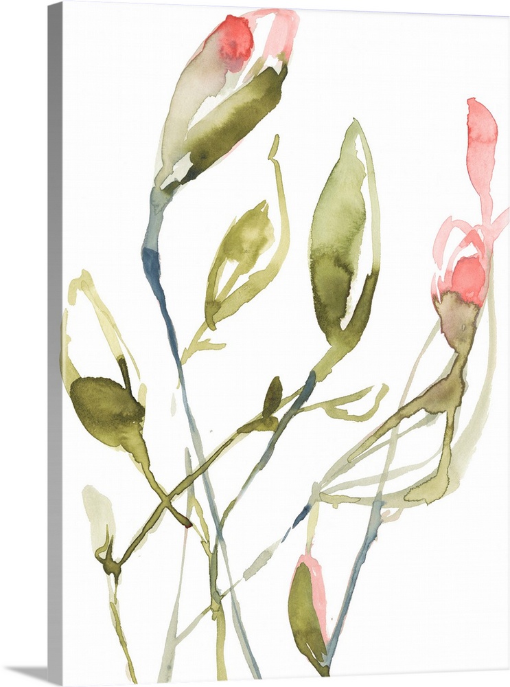 Simple, loose watercolor painting of green plant stems and buds with coral pink flowers