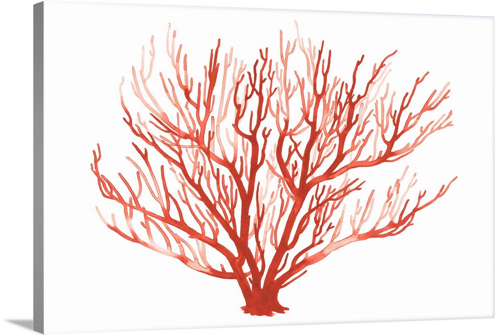 Simple monochromatic painting of a coral fan against a white background