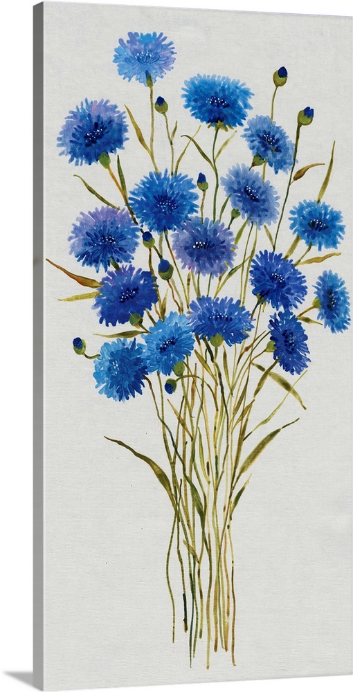 Illustration of a bouquet of bright blue cornflowers on grey.