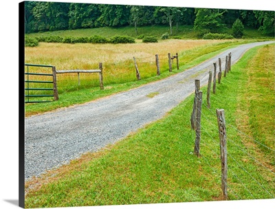 Country Road Photo III