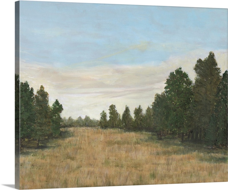 Countryside Clearing I | Great Big Canvas
