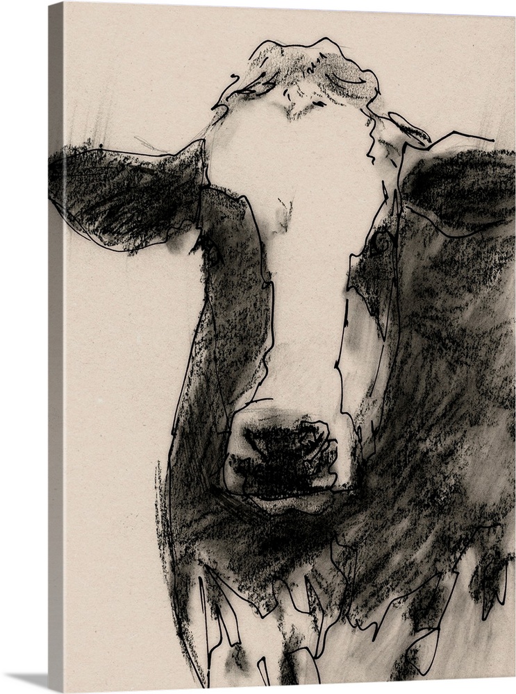 Cow Portrait Sketch II
