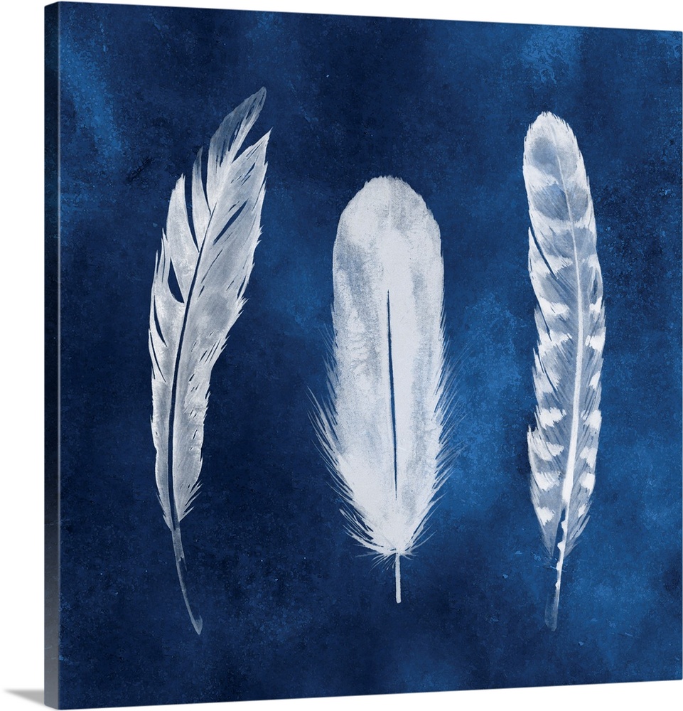 Three white patterned feathers on a blue wash background, resembling a photo negative image.