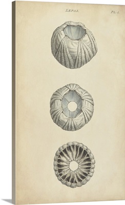 Cylindrical Shells I