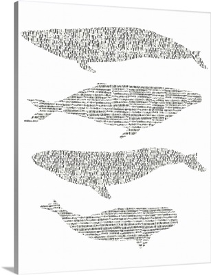 Dashed Whale Chart II
