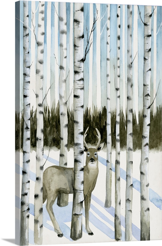 Illustration of a deer hiding in aspen trees in the winter.