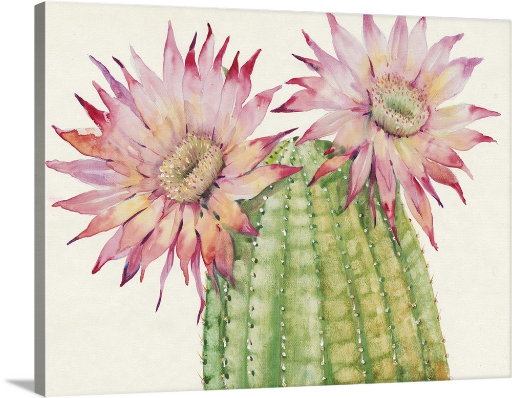 A contemporary watercolor painting of a cactus with colorful flowers.