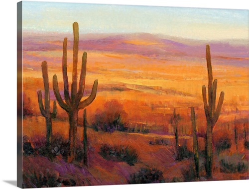 Desert Light II | Great Big Canvas