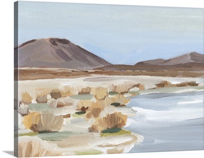Desert Oasis Study II