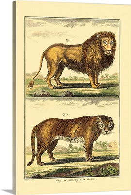 Diderot's Lion and Tiger