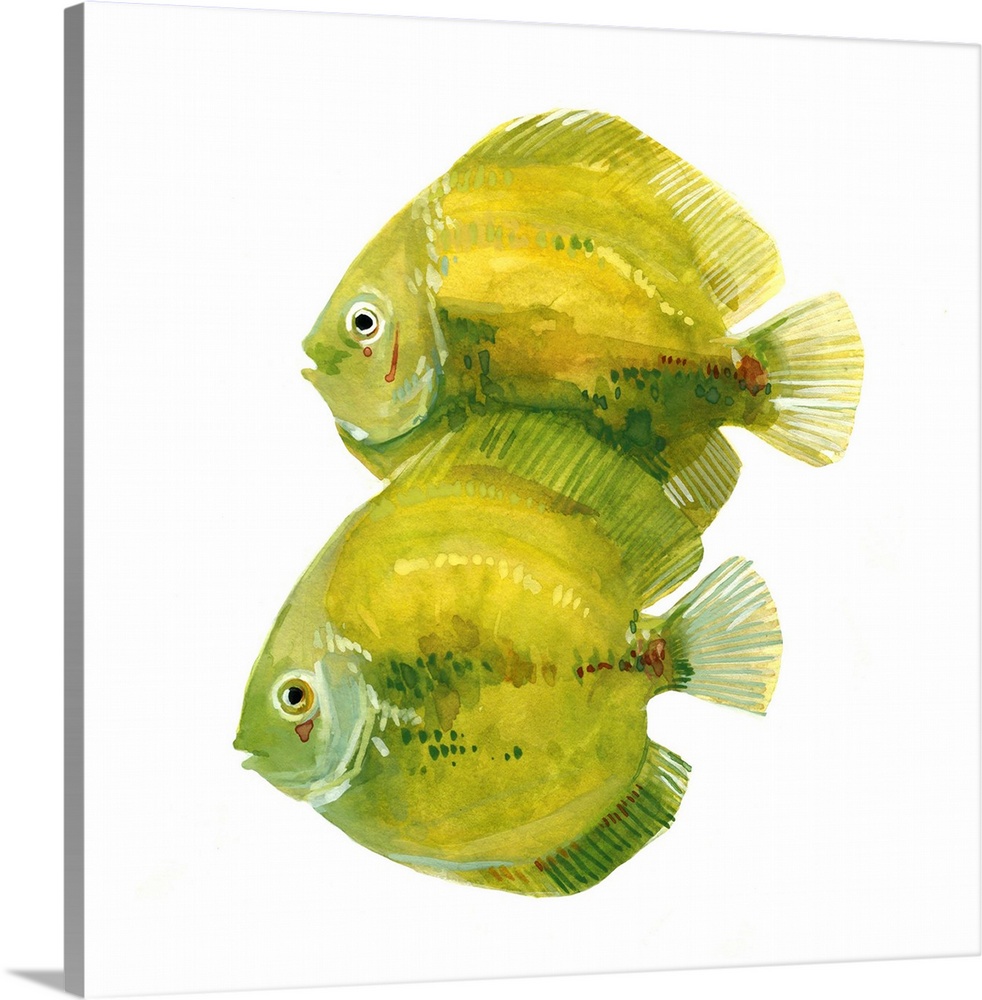 Watercolor portrait of two brightly painted citron yellow and green fish.