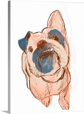 Dog Portrait--Bobo