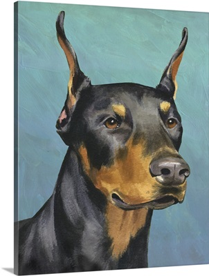 Dog Portrait - Dobie