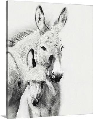 Donkey Portrait V