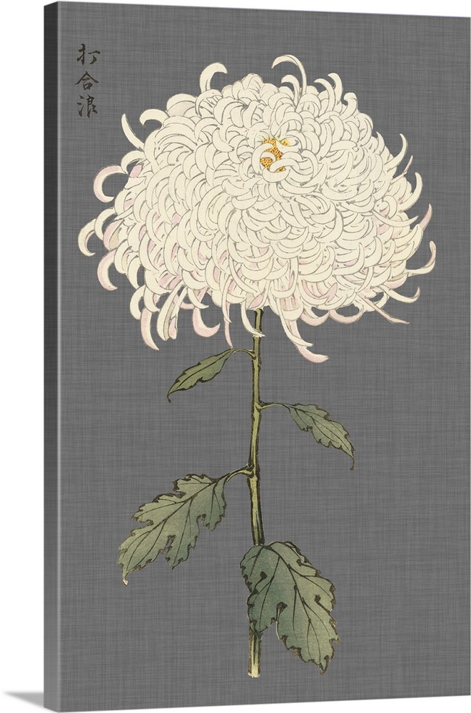 Decorative art with a large ivory mum on a gray textured background.