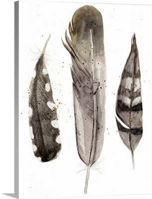 Earthtone Feathers II