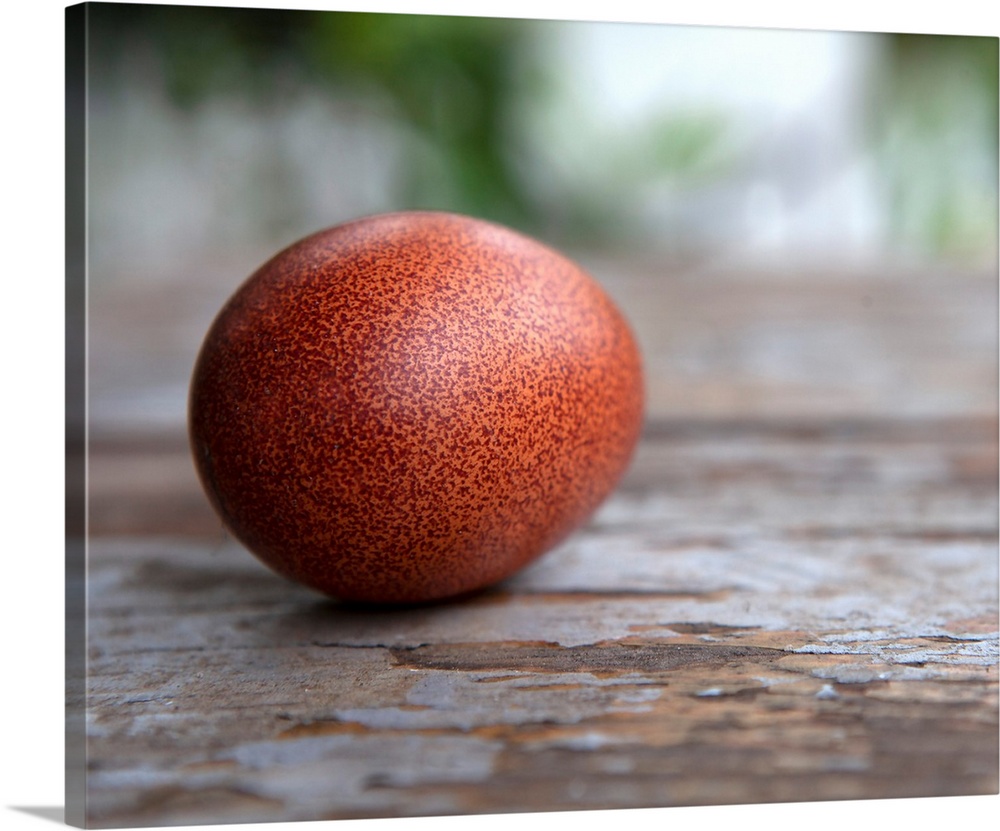 Egg On Wood