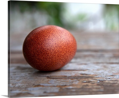 Egg On Wood