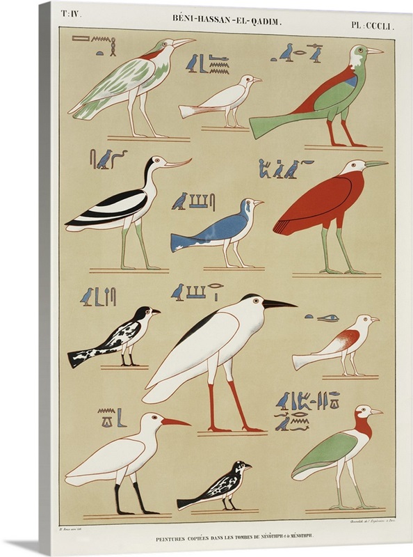 Egyptian Bird Charts II Great Big Canvas