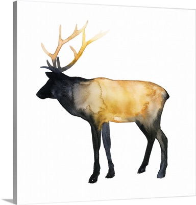 Elk Aglow I