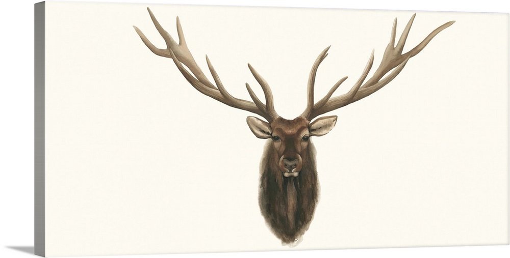 Portrait of an elk with large antlers appearing to be hung on a wall like a hunting trophy.
