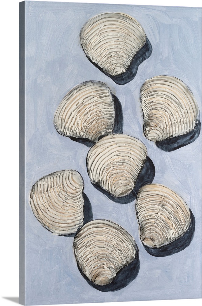 Embellished Seashells III