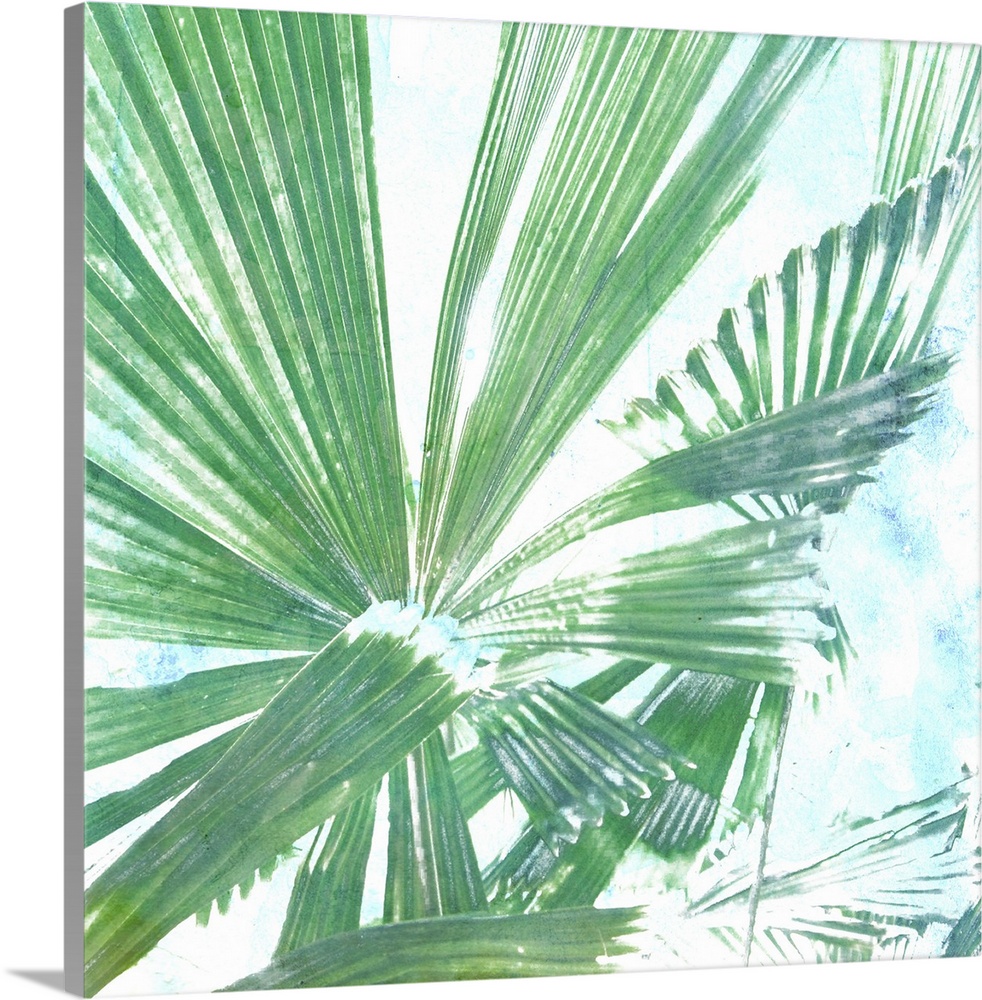 Emerald Palms II