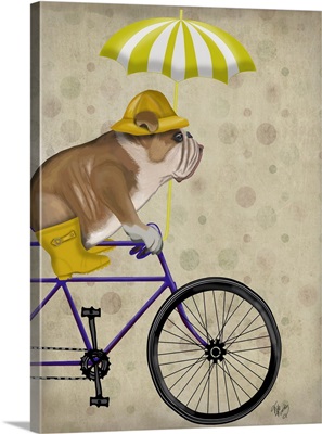 English Bulldog on Bicycle
