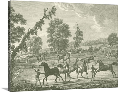Equestrian Scenes III