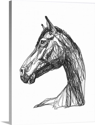 Equine Contour IV