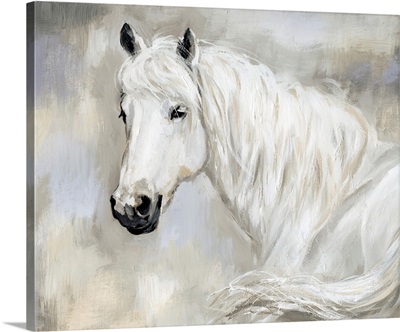 Ethereal Equine Portrait II