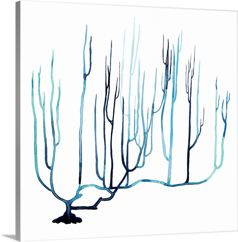 Simple watercolor illustration of coral in shades of blue.