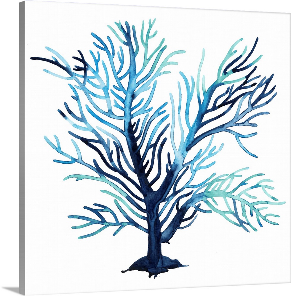 Simple watercolor illustration of coral in shades of blue.