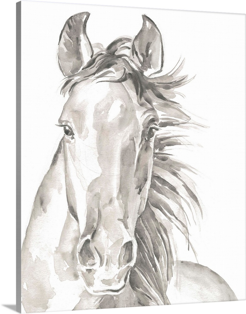 Watercolor portrait of a horse in gray.