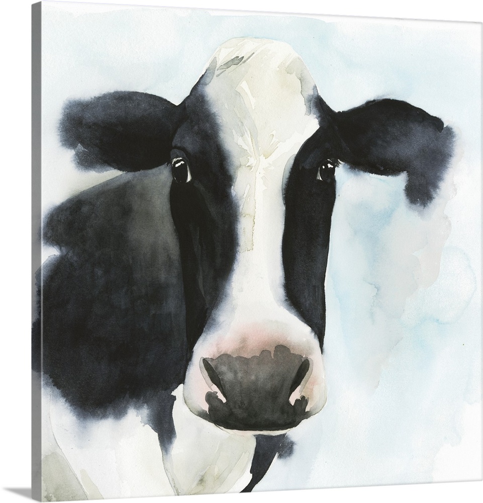 A watercolor portrait of a black and white cow with pink and blue accents.