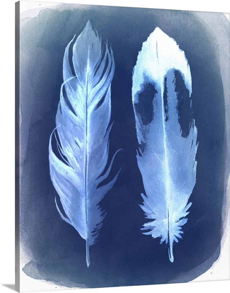 Watercolor painting of two feathers, with the appearance of a film negative.