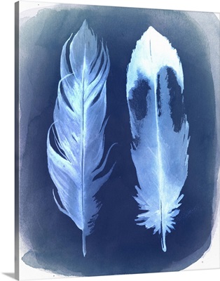 Feather Negatives II