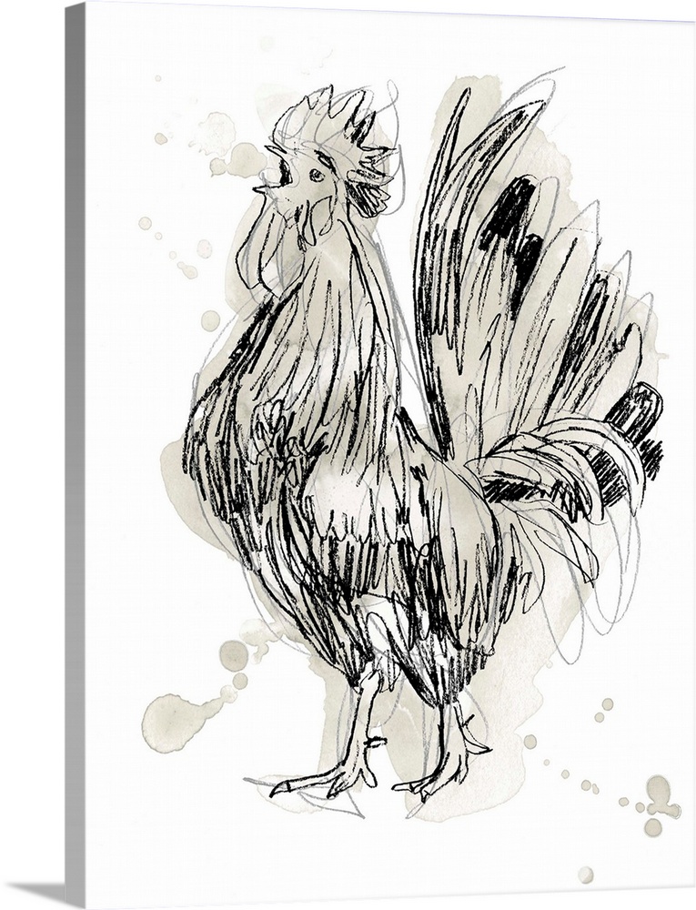 Feathered Fowl II