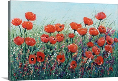 Field Of Red Poppies I