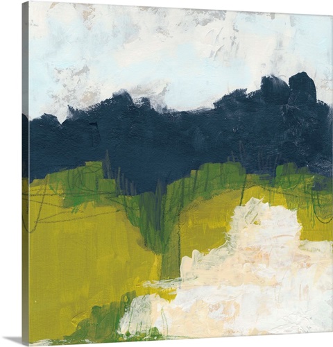 FieldSketchIIStretchedCanvasPrint