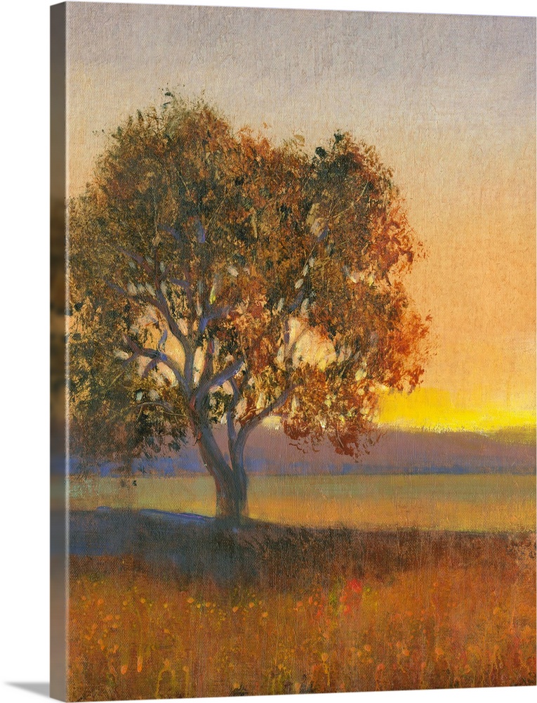 Contemporary landscape painting of a lone tree in a meadow at sunset.