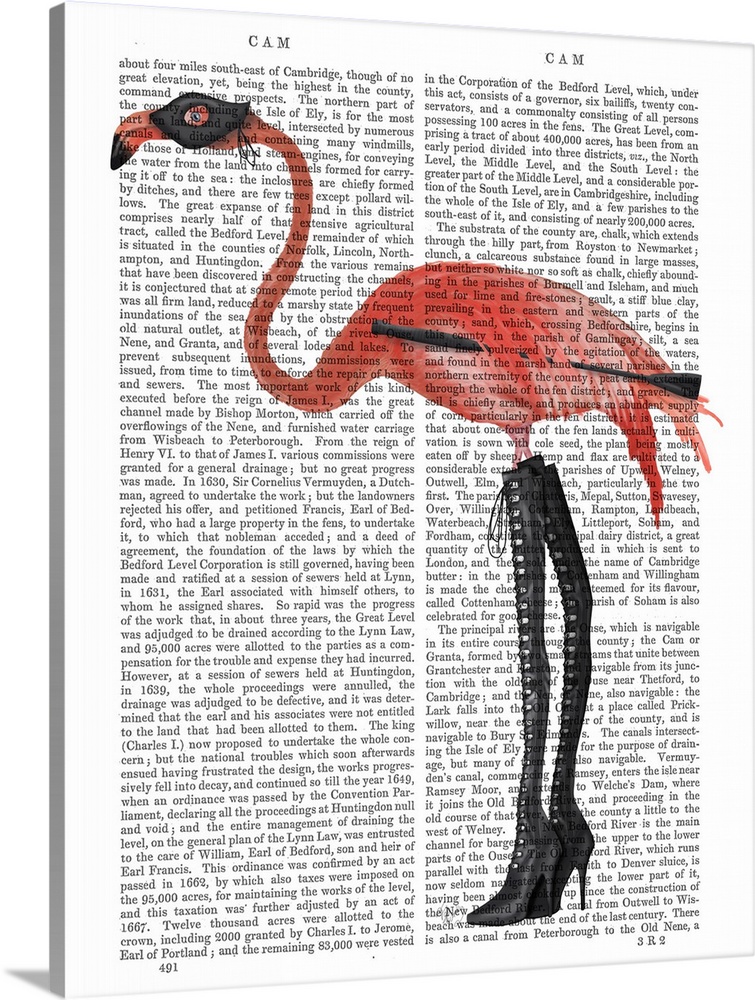 Decorative art with a flamingo wearing long black boots and a mask painted on the page of a book.