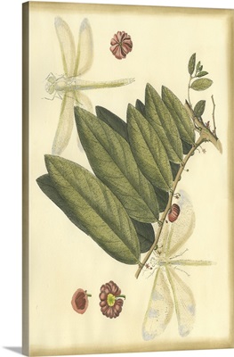 Floral Fantasia V