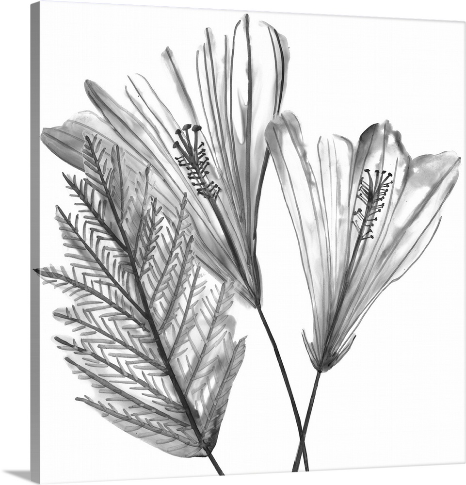 Contemporary line art of flowers and foliage in shades of gray and black.