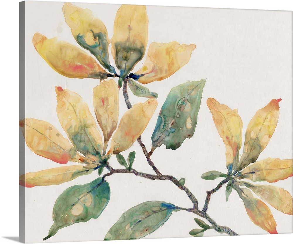 Stylish watercolor painting of a floral filled branch of blended tones of yellow, blue, orange and green.